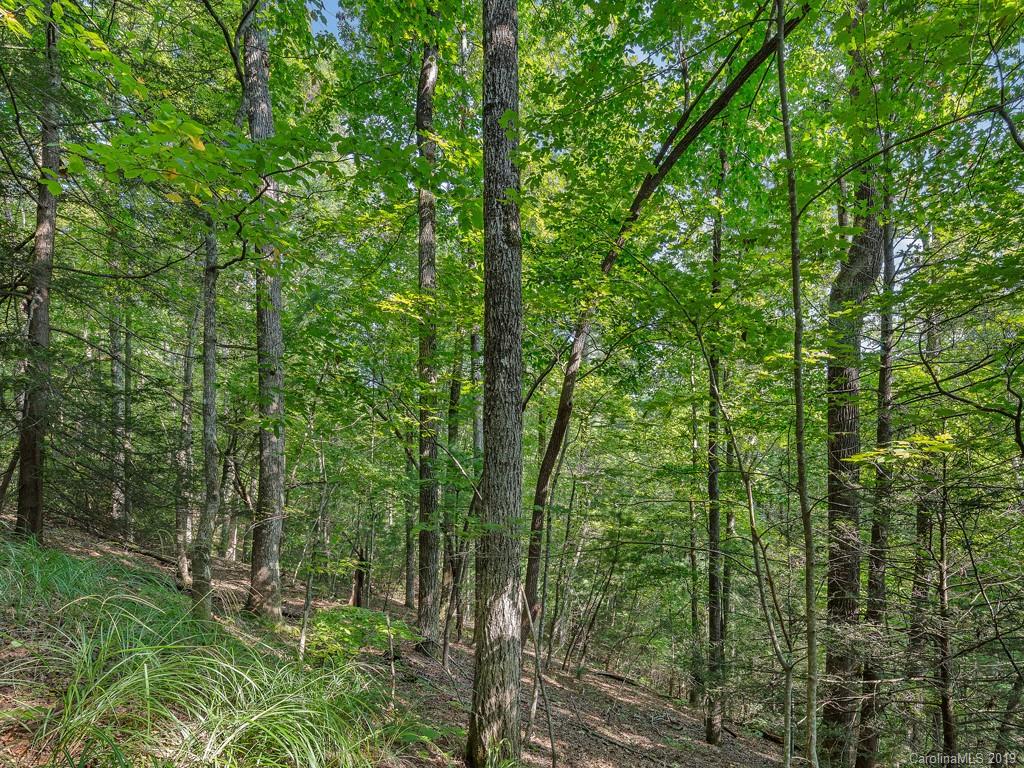 Lot 38 Restless Creek Road Saluda, NC 28773 - Photo 9 of 15 Gallery Image 9