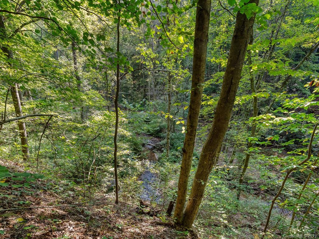 Lot 38 Restless Creek Road Saluda, NC 28773 - Photo 10 of 15 Gallery Image 10
