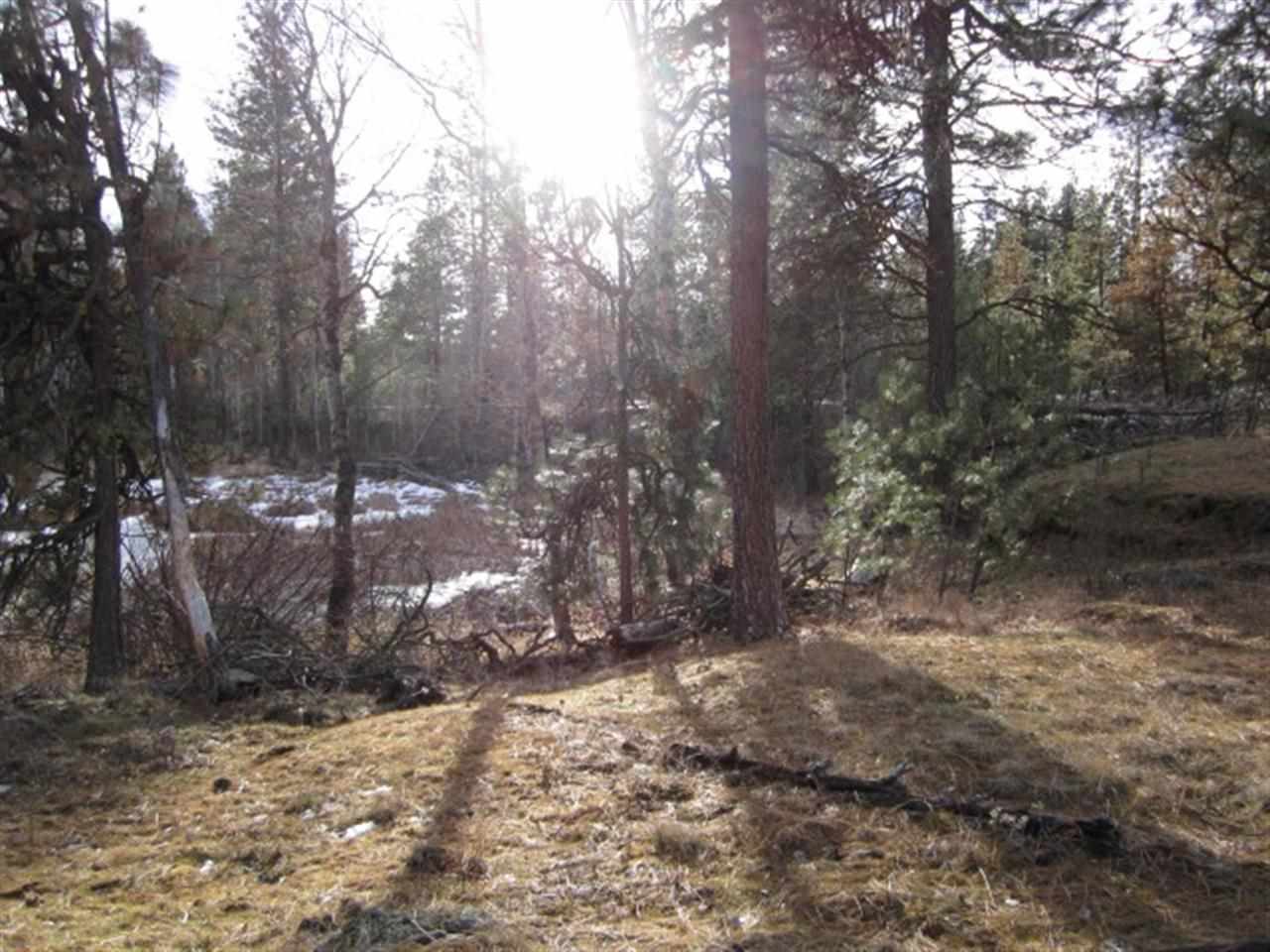 Xx South Goss Road Cheney, WA 99004 - Photo 1 of 20