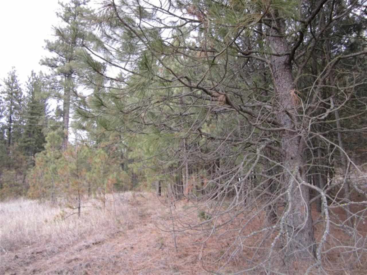 Xx South Goss Road Cheney, WA 99004 - Photo 2 of 20
