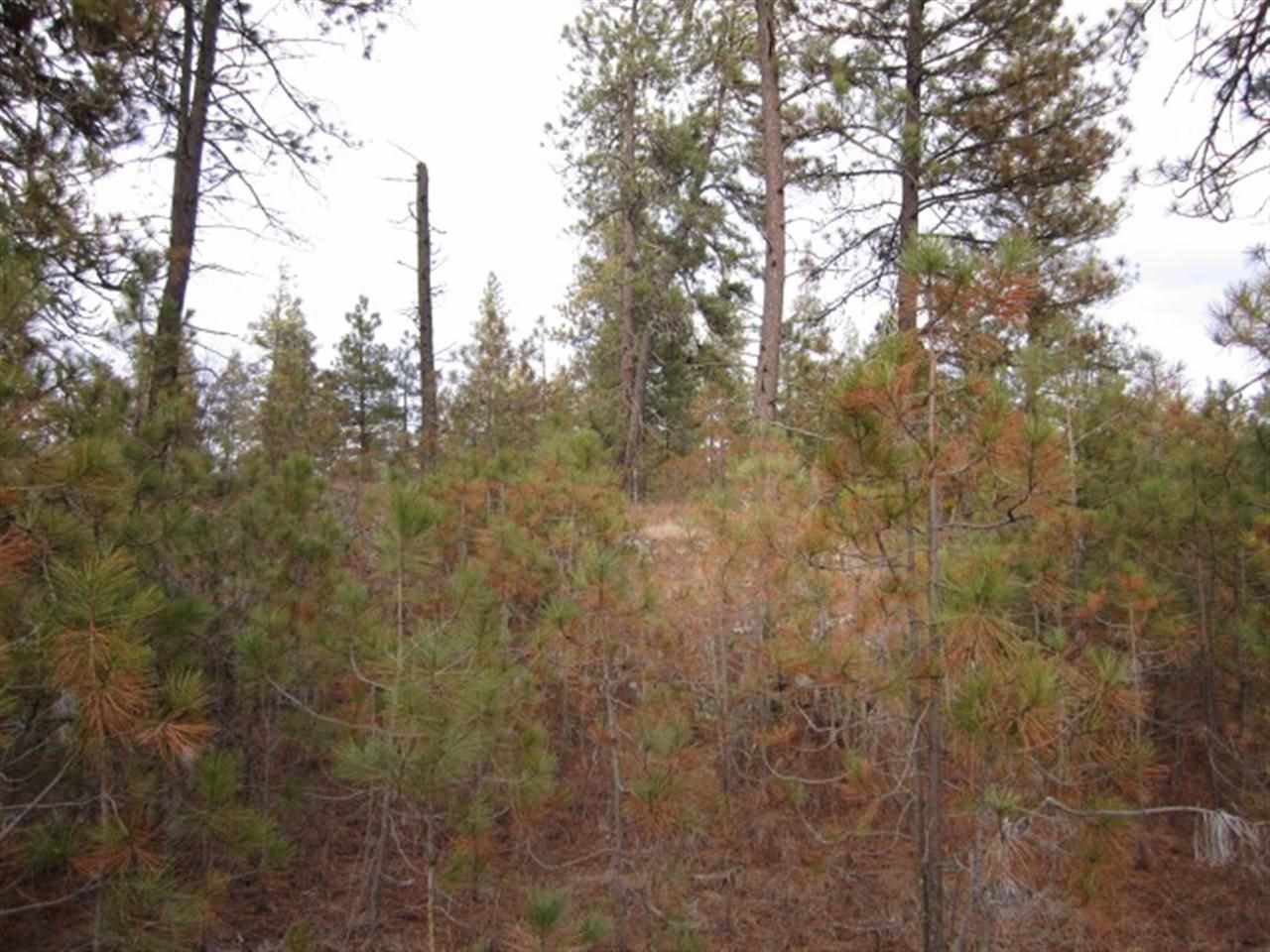 Xx South Goss Road Cheney, WA 99004 - Photo 15 of 20