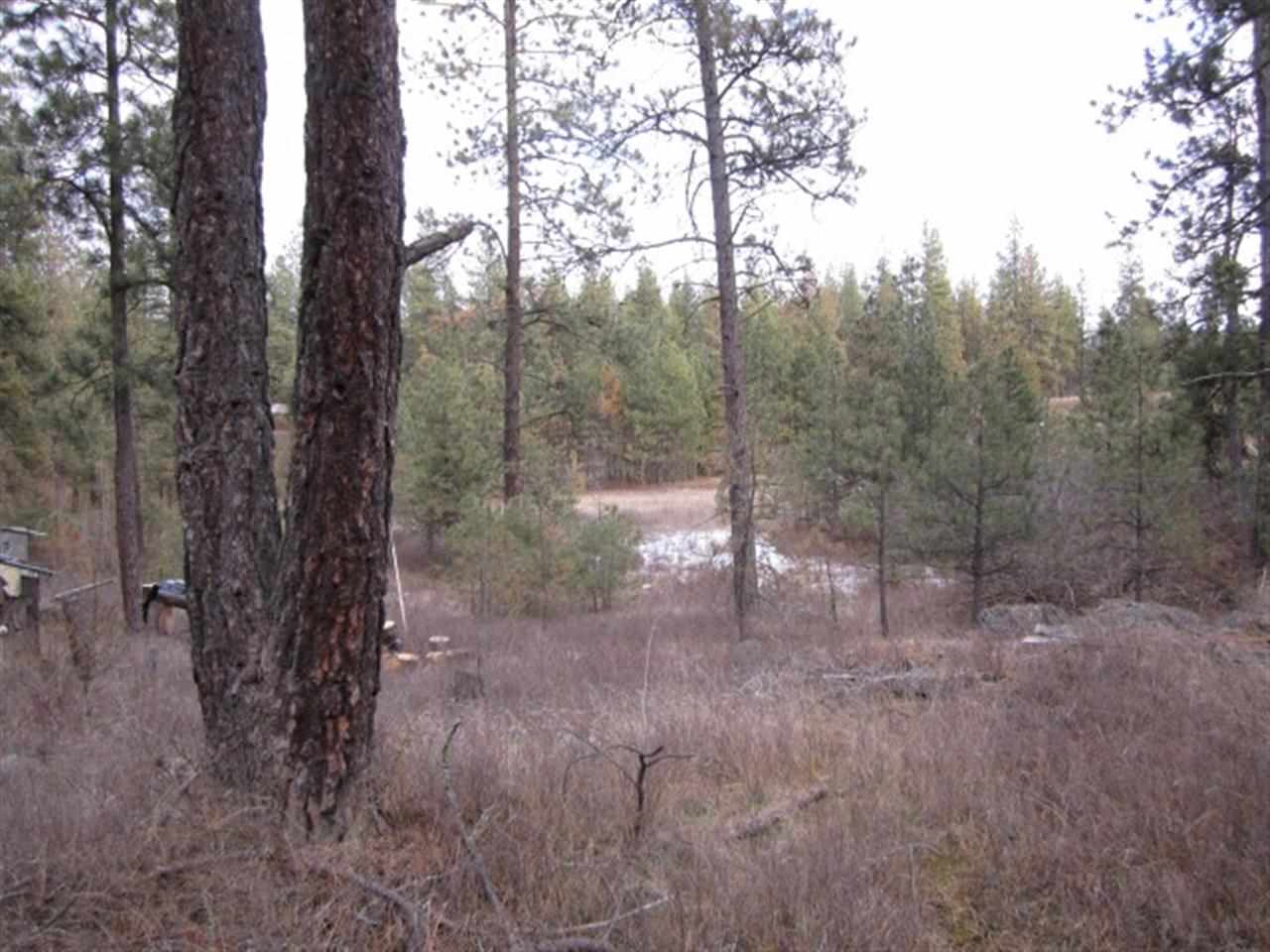Xx South Goss Road Cheney, WA 99004 - Photo 19 of 20