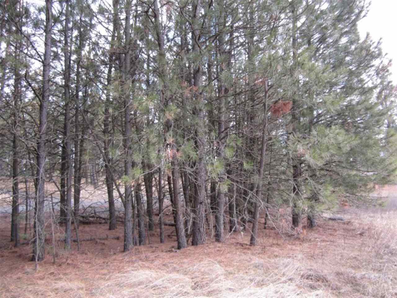 Xx South Goss Road Cheney, WA 99004 - Photo 3 of 20