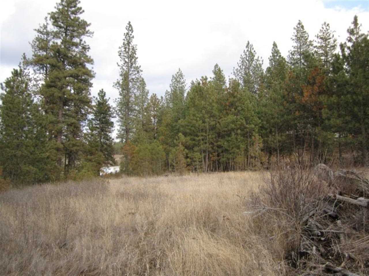 Xx South Goss Road Cheney, WA 99004 - Photo 7 of 20