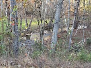 250 Pendleton Road Kingsport, TN 37664 - Photo 6 of 12 Pendleton ext 3 11.5