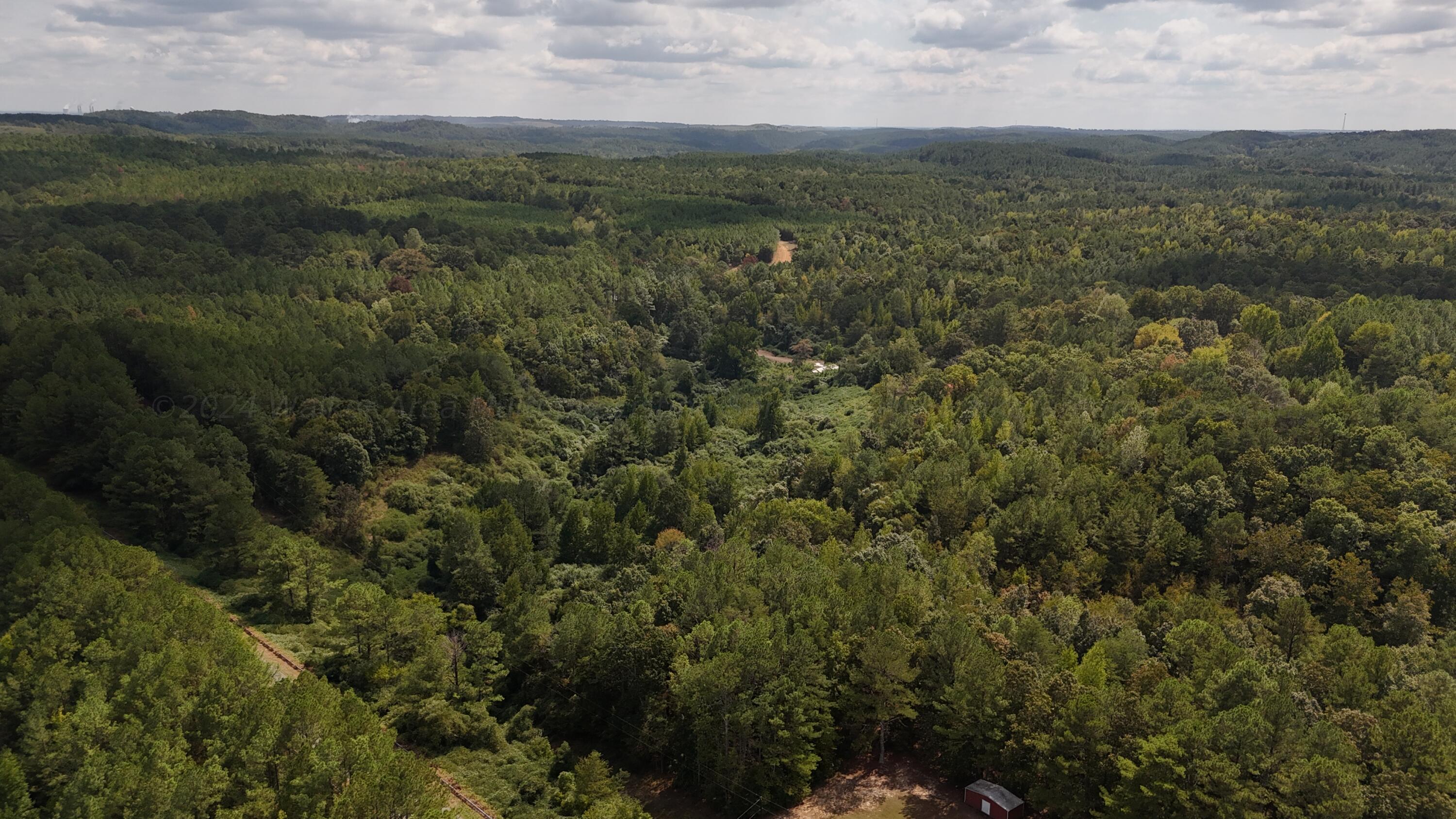 Albritton Road Parrish, AL 35580 - Photo 2 of 11 Gallery Image 2