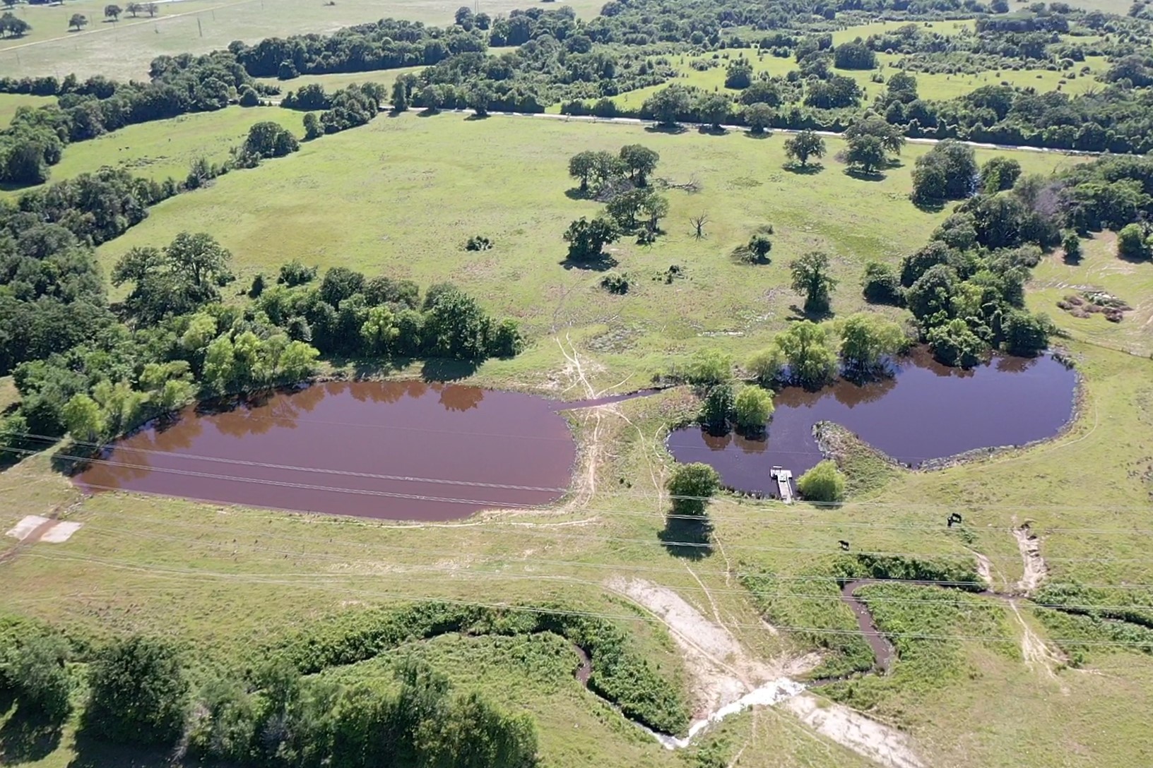 4442 Poteet Road Normangee, TX 77871 - Photo 48 of 49