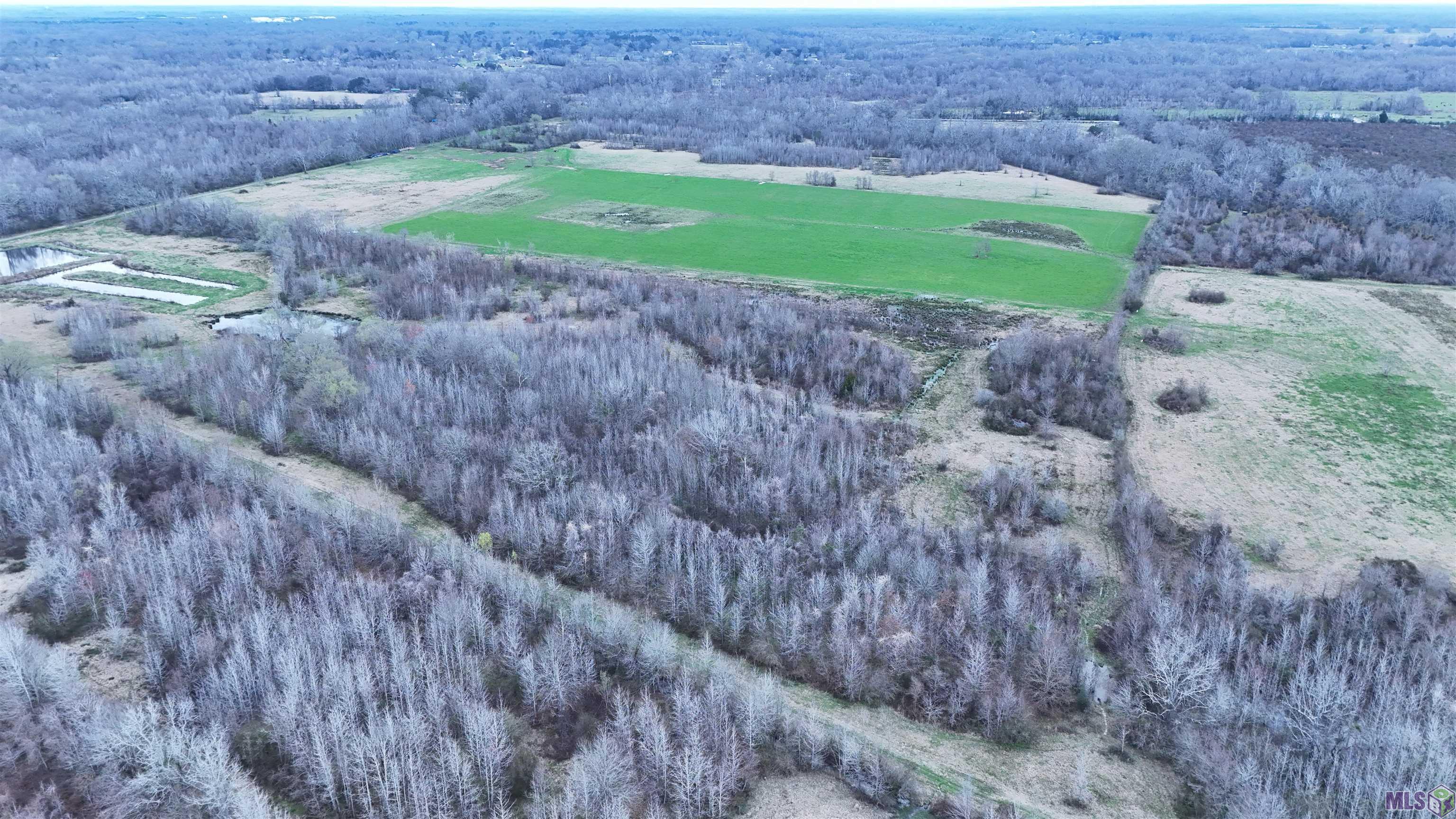 Tl-1 West Flonacher Road Zachary, LA 70791 - Photo 13 of 20