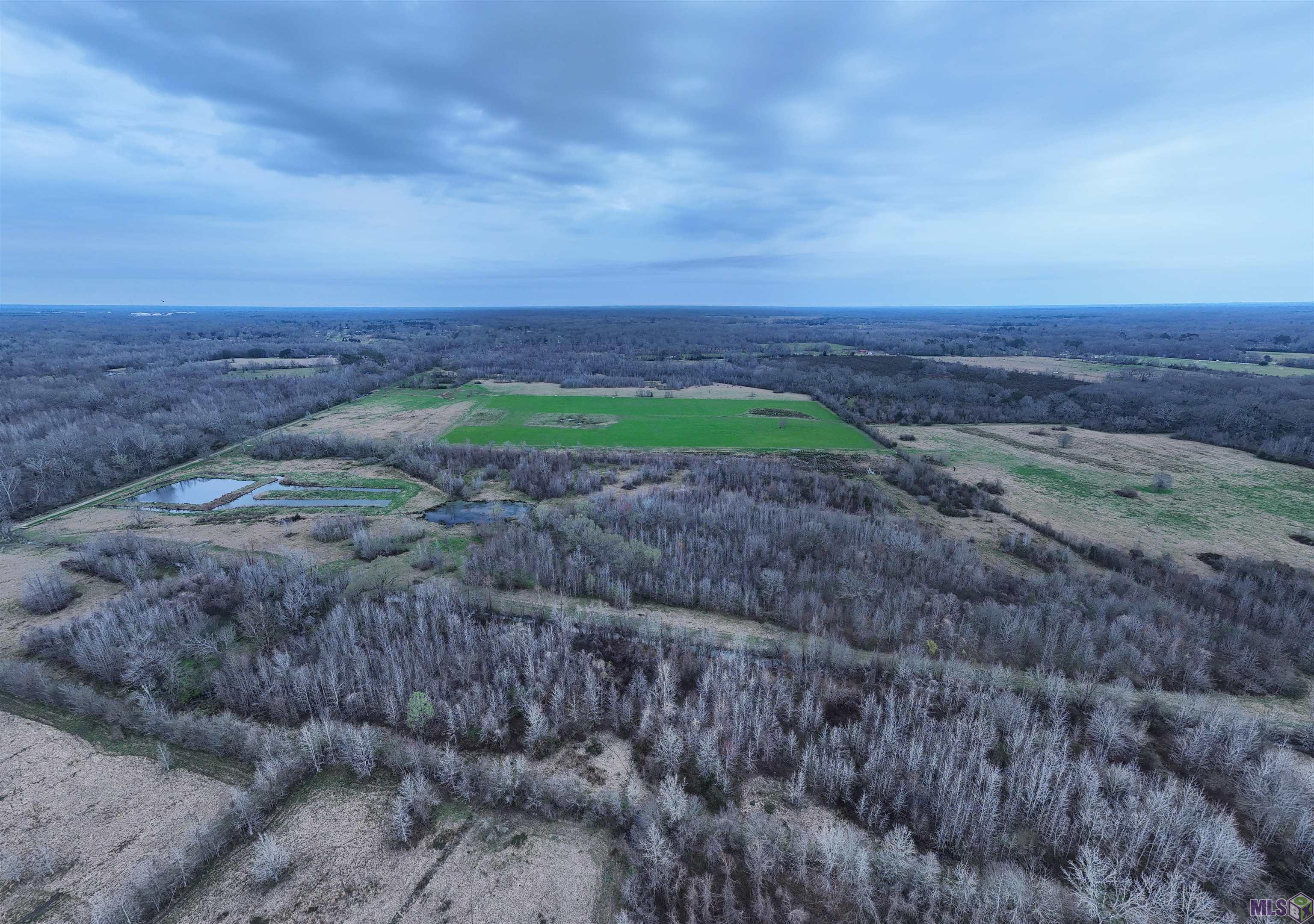 Tl-1 West Flonacher Road Zachary, LA 70791 - Photo 15 of 20