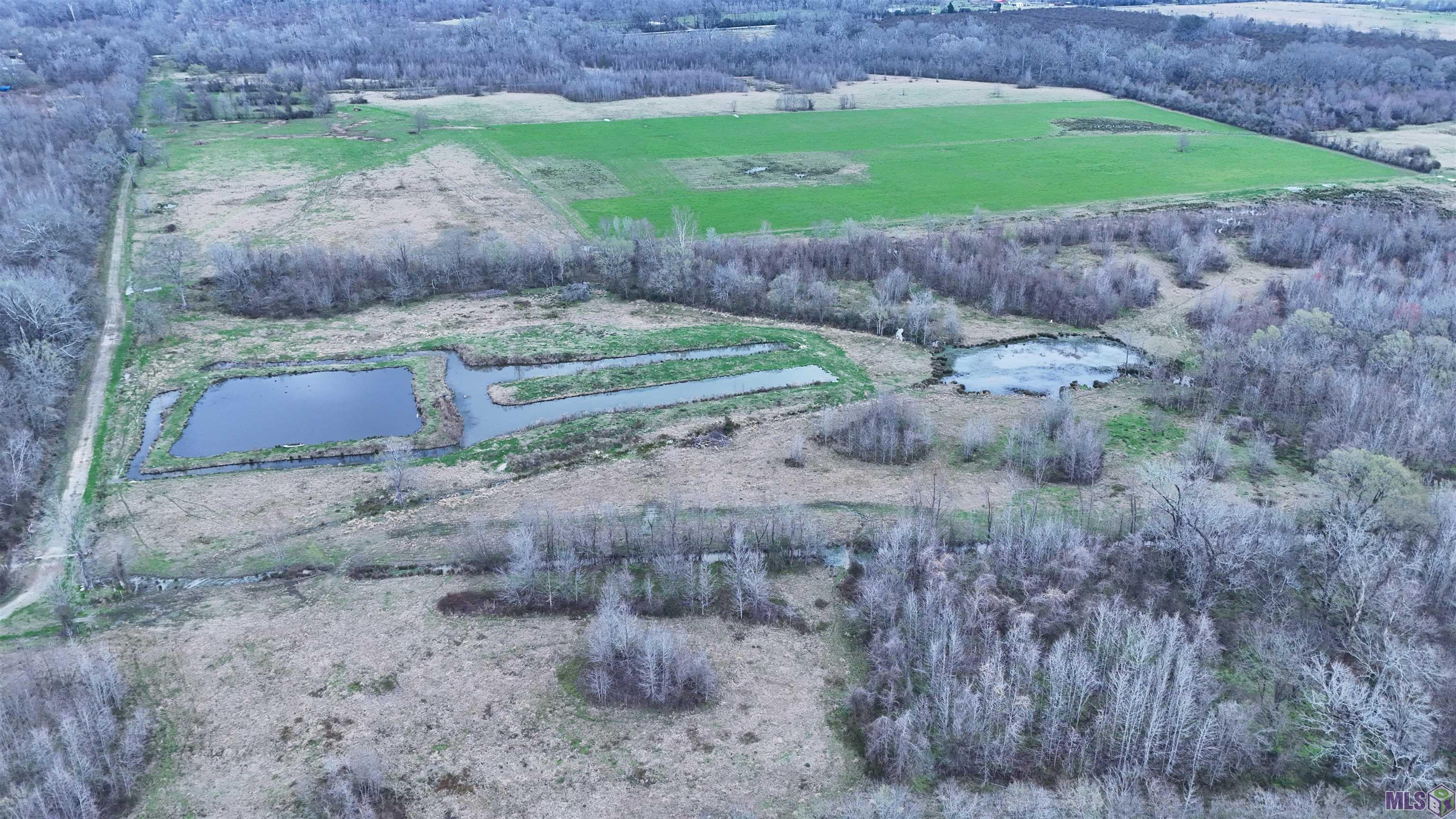 Tl-1 West Flonacher Road Zachary, LA 70791 - Photo 16 of 20