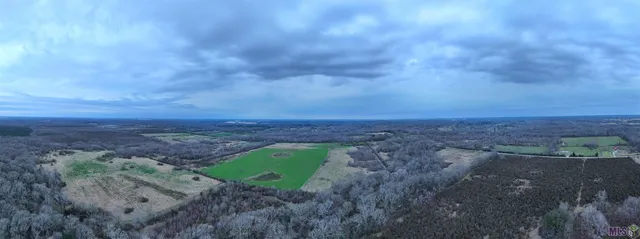 $2,669,000 | Tl-1 West Flonacher Road, Zachary, LA 70791