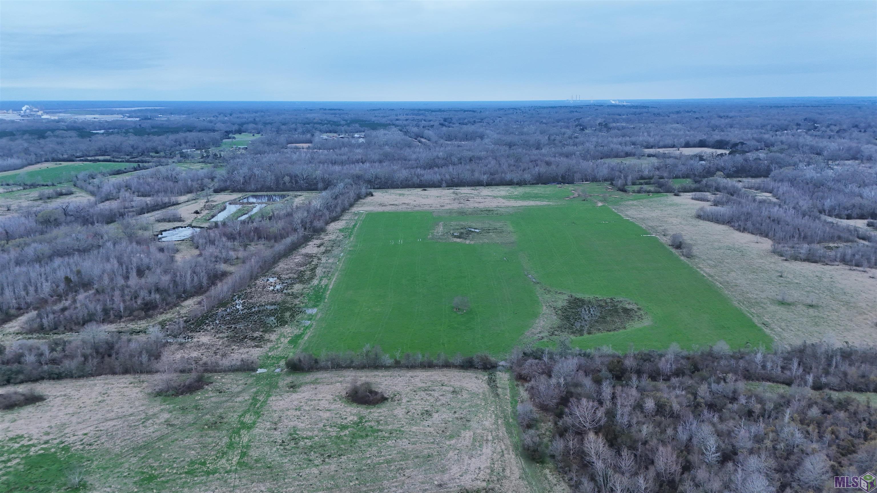 Tl-1 West Flonacher Road Zachary, LA 70791 - Photo 9 of 20