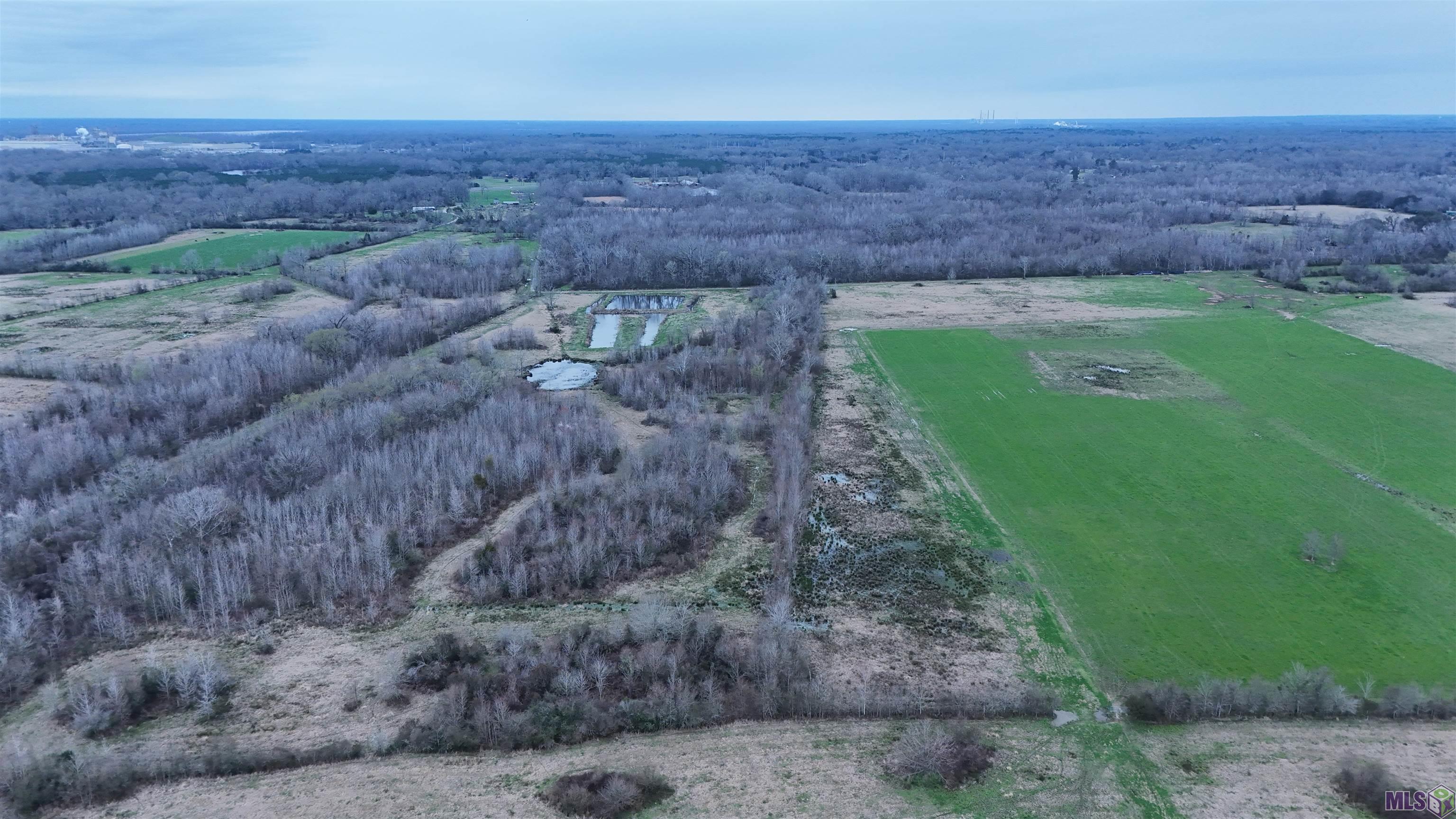 Tl-1 West Flonacher Road Zachary, LA 70791 - Photo 10 of 20