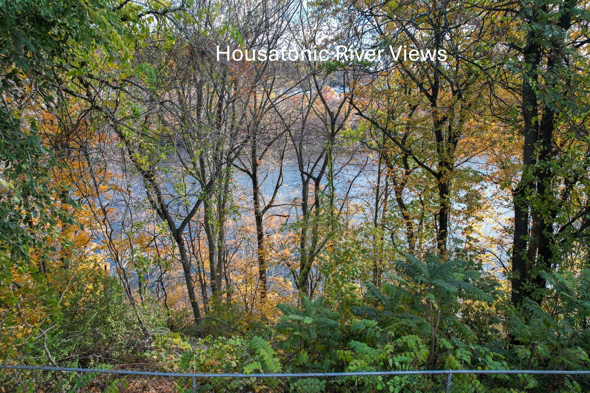 11 Mt Pleasant Street Shelton, CT 06484 - Photo 22 of 23