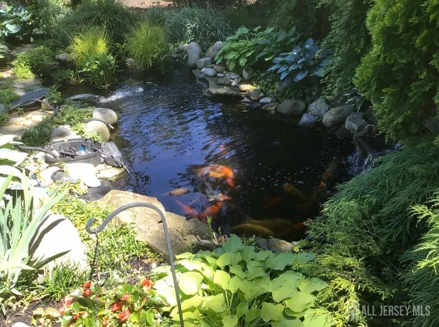 a picture of flowers