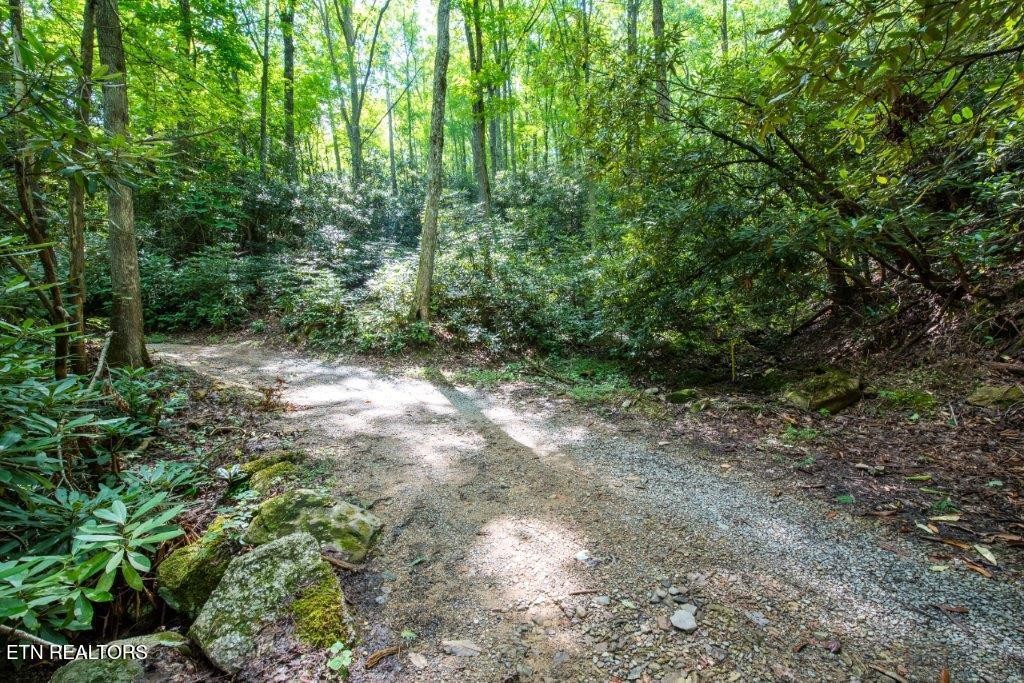 10 Carrs Creek Road Townsend, TN 37882 - Photo 1 of 19 Gallery Image 1