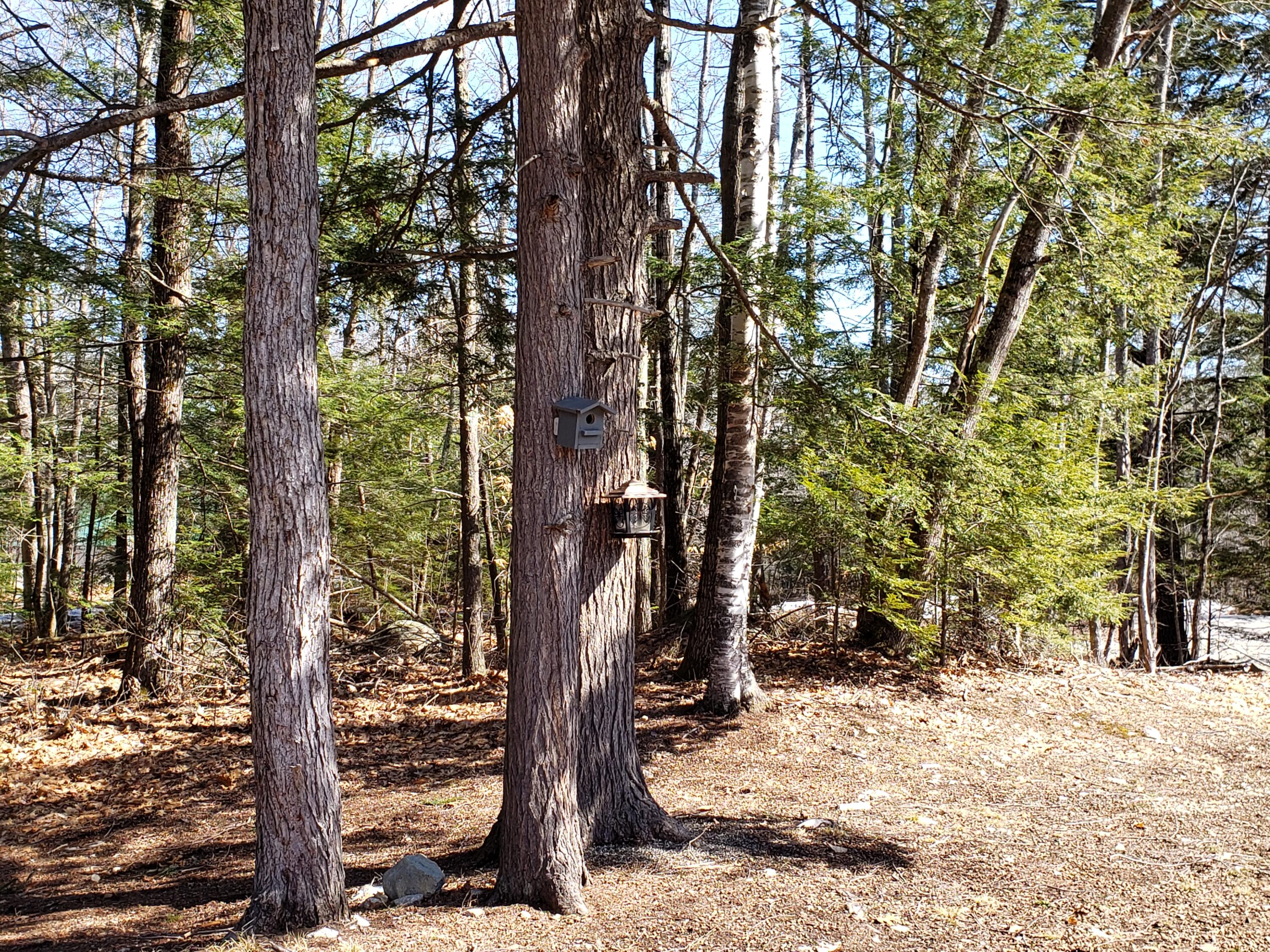 743 Bakerstown Road Poland, ME 04274 - Photo 32 of 38 20220321_111357