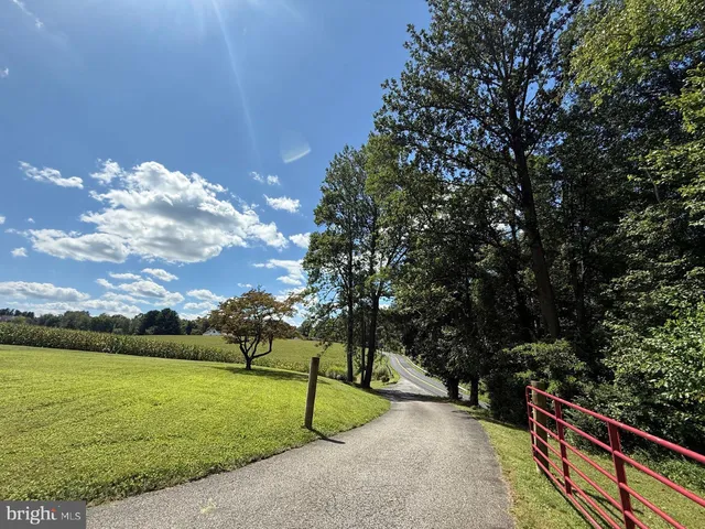 a view of a bench in a park
