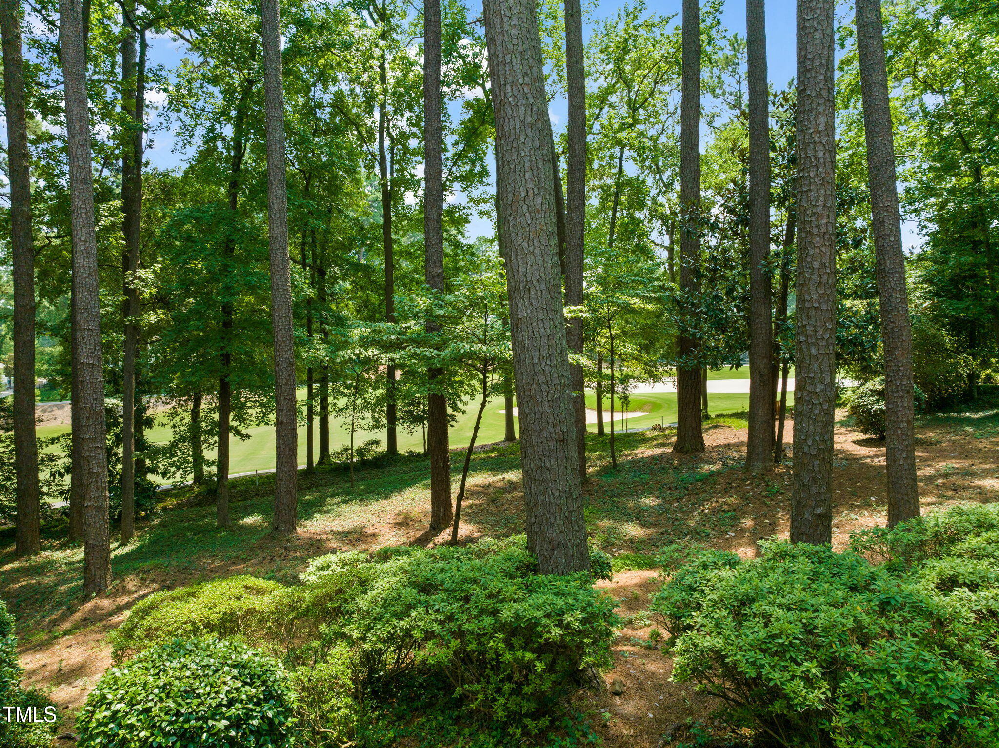 3317 Devon Road Durham, NC 27707 - Photo 43 of 51 56-web-or-mls-untitled-13 (2)
