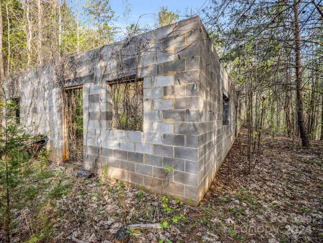 a view of a yard with plants and large trees