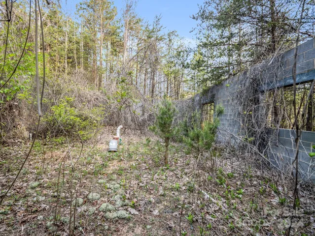 a view of a yard with large trees
