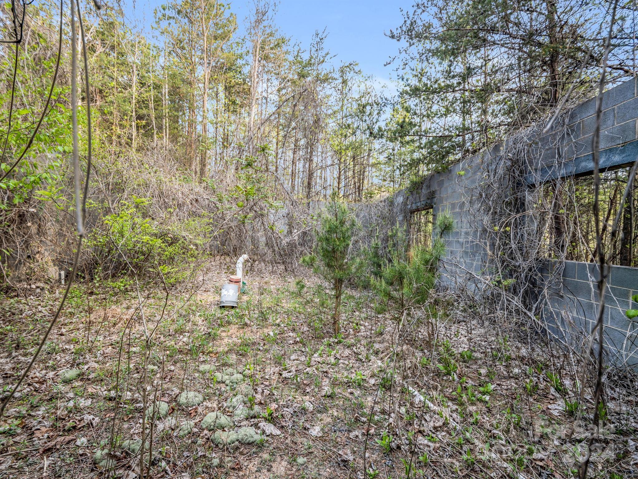 0 Equestrian Drive Ellenboro, NC 28040 - Photo 14 of 29 a view of a yard with plants and large trees