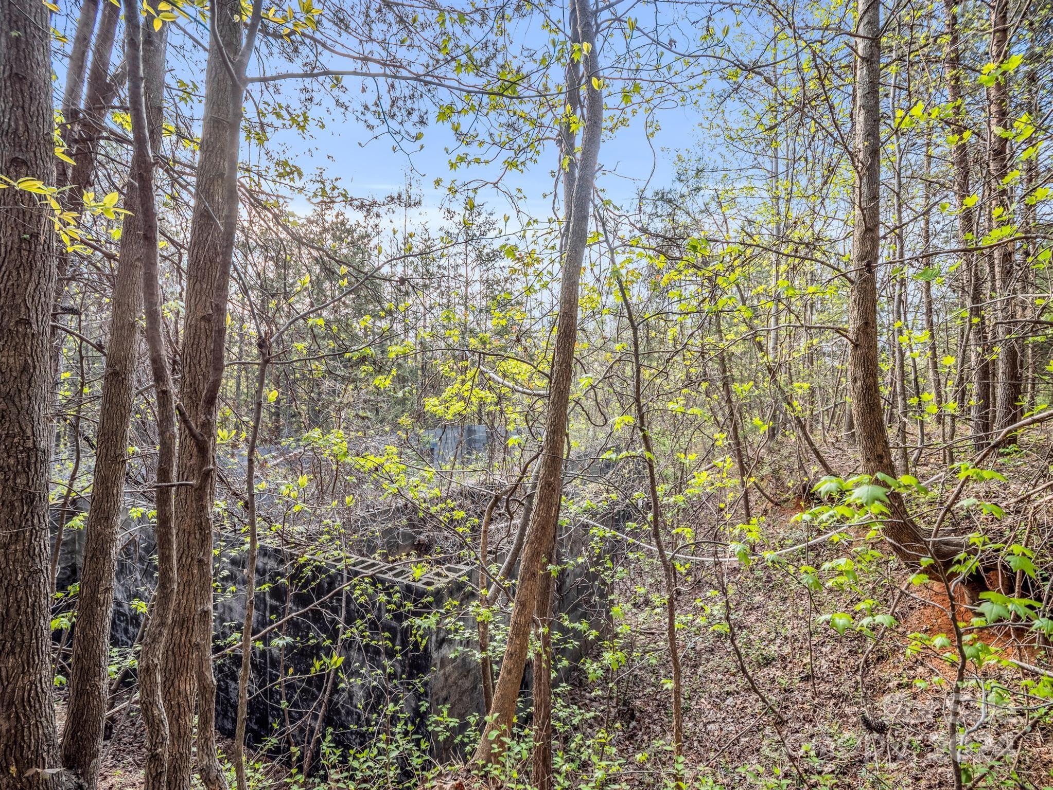 0 Equestrian Drive Ellenboro, NC 28040 - Photo 15 of 29