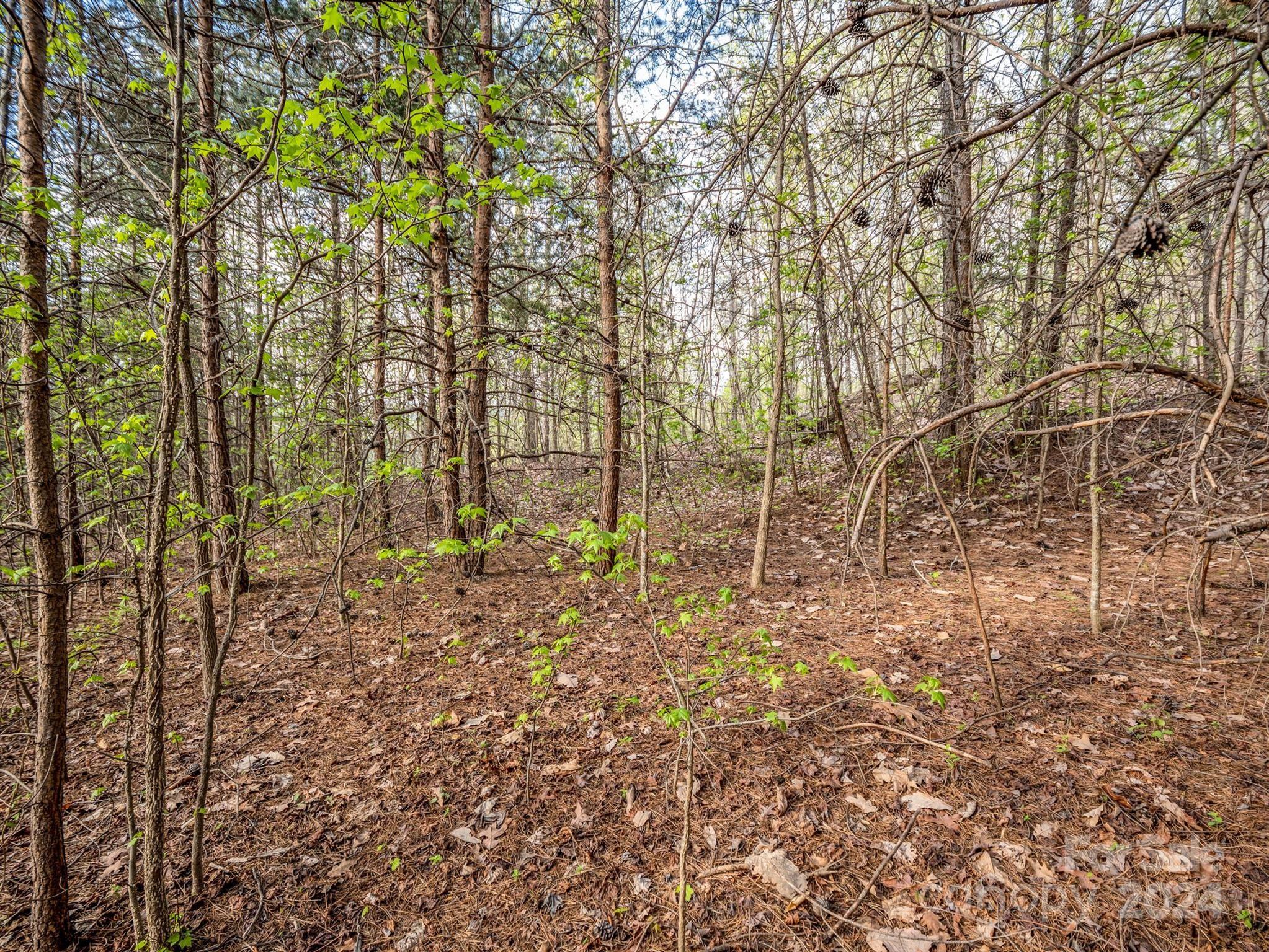 0 Equestrian Drive Ellenboro, NC 28040 - Photo 16 of 29 a view of a yard with large trees