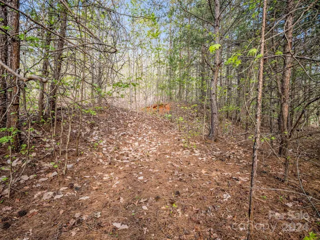 a view of a yard with large trees