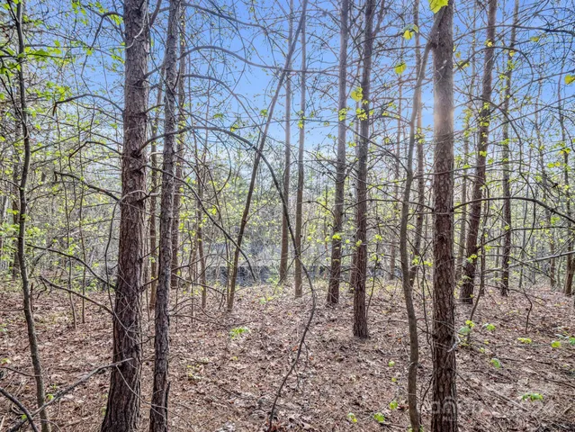 a view of a lush green field
