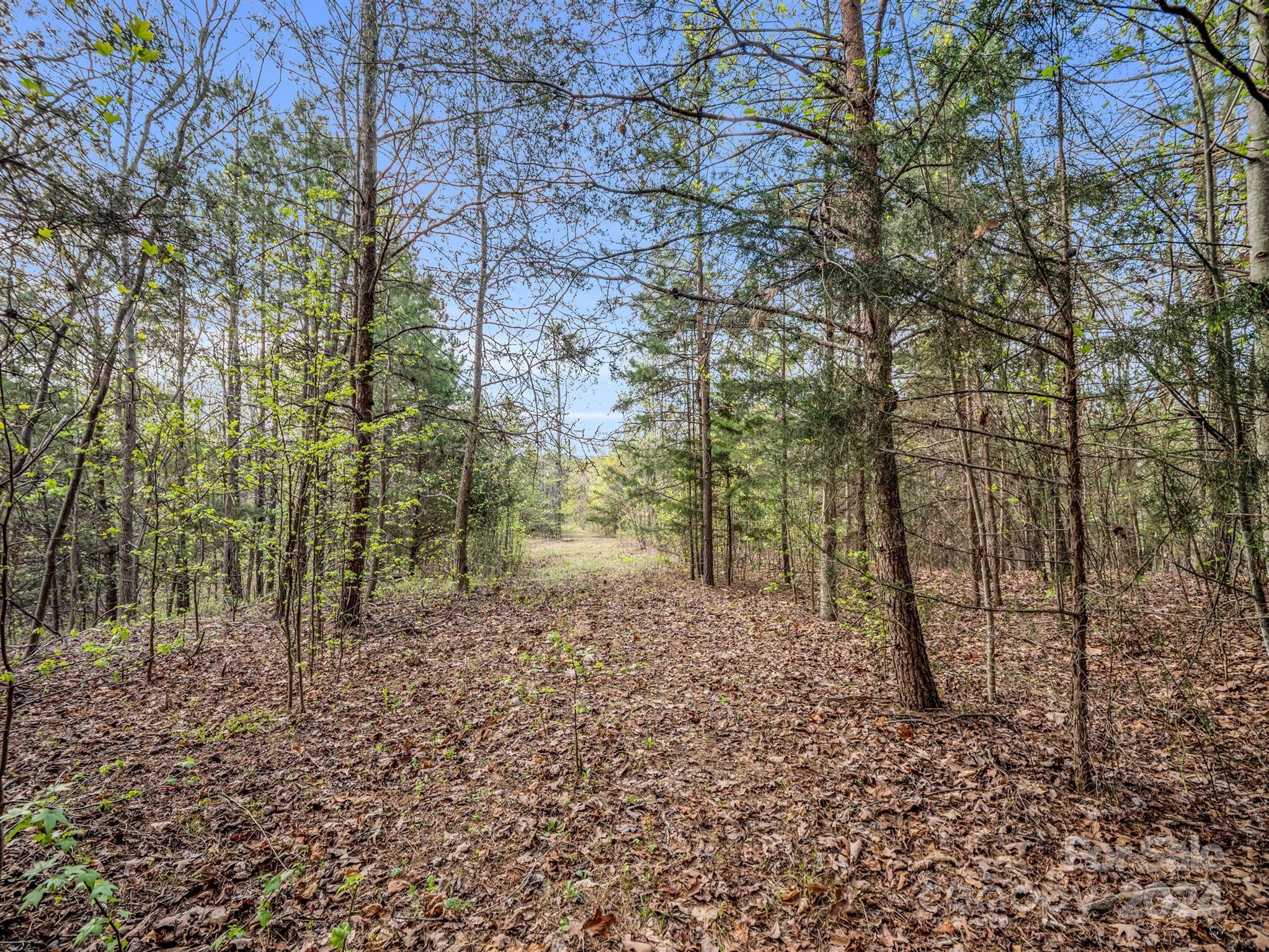 0 Equestrian Drive Ellenboro, NC 28040 - Photo 19 of 29 a view of a yard with large trees