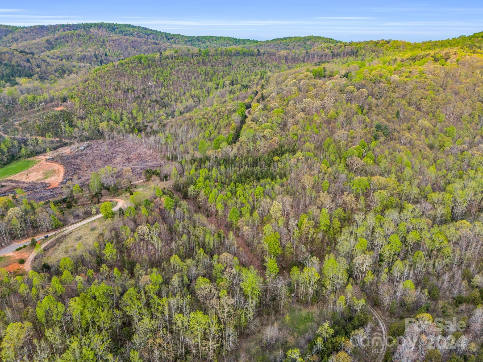 0 Equestrian Drive Ellenboro, NC 28040 - Photo 20 of 29 a view of a lush green field