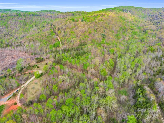 a view of a lush green hillside and a houses