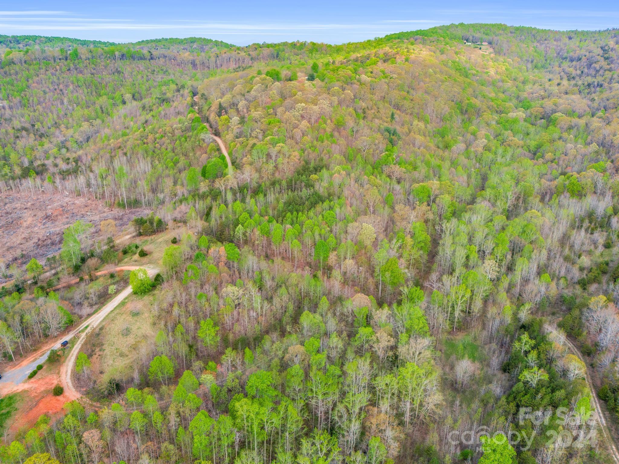 0 Equestrian Drive Ellenboro, NC 28040 - Photo 21 of 29 a view of a yard