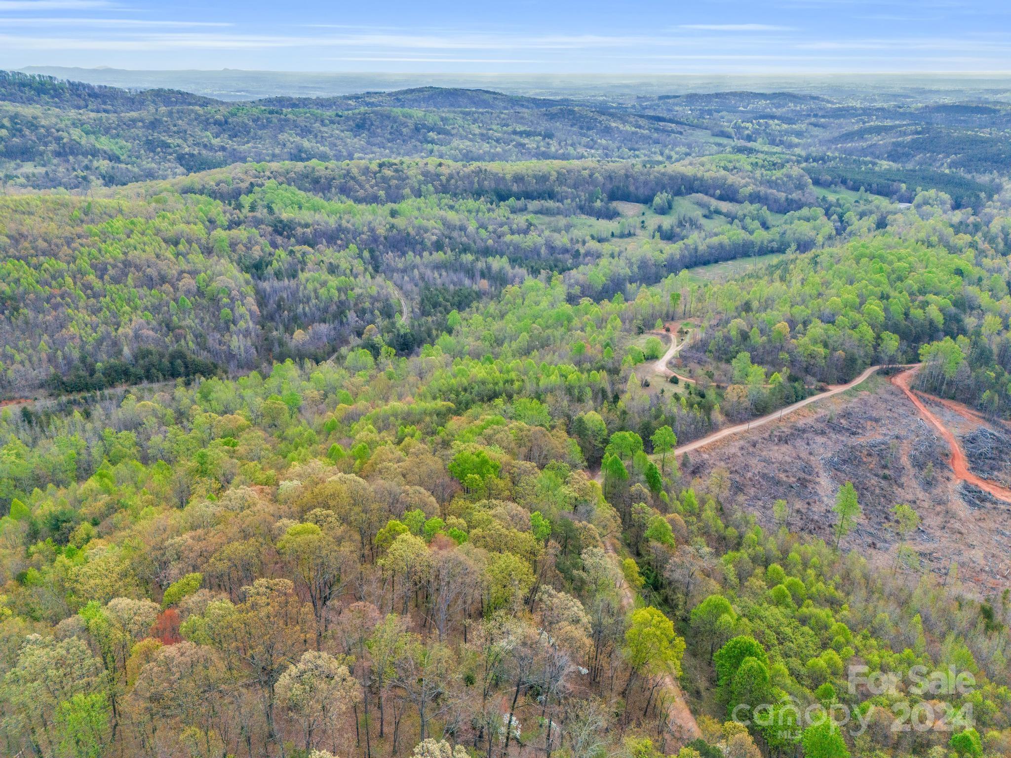 0 Equestrian Drive Ellenboro, NC 28040 - Photo 24 of 29 a view of a lush green field
