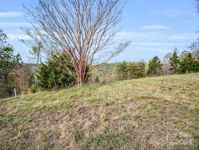 a view of backyard with green space