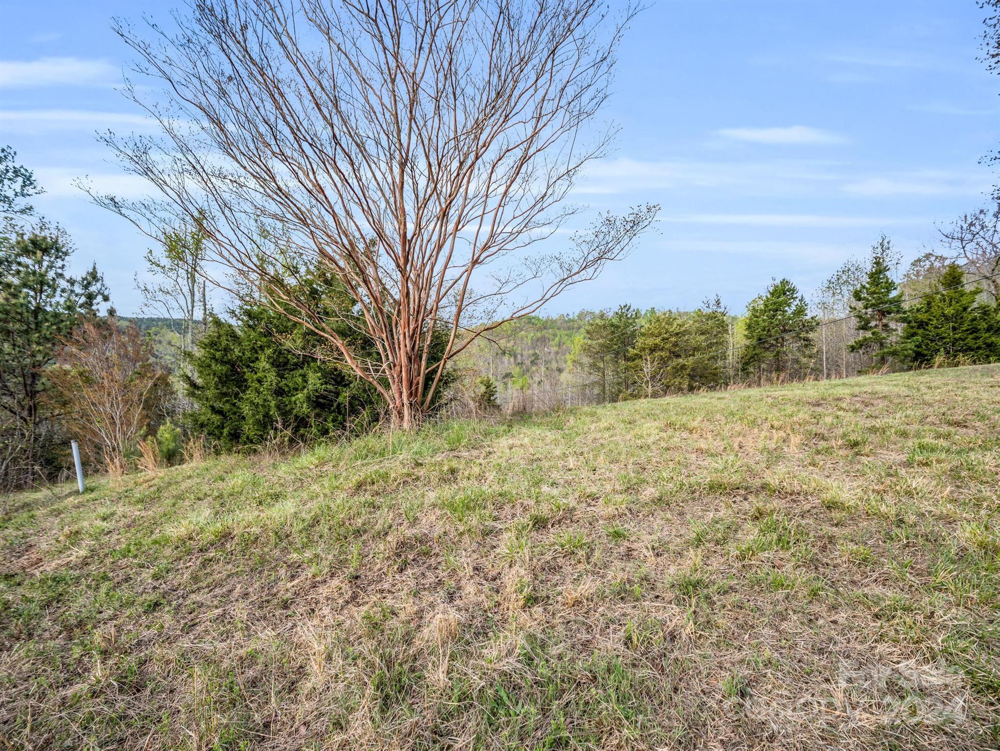 0 Equestrian Drive Ellenboro, NC 28040 - Photo 7 of 29 a view of backyard with green space