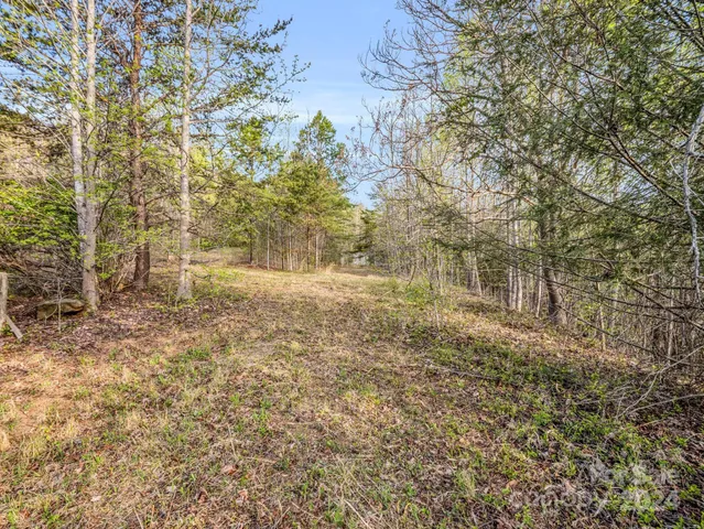 a view of outdoor space and a yard