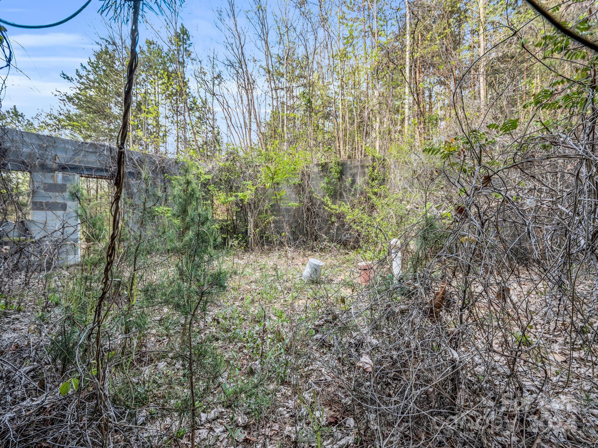 0 Equestrian Drive Ellenboro, NC 28040 - Photo 10 of 29