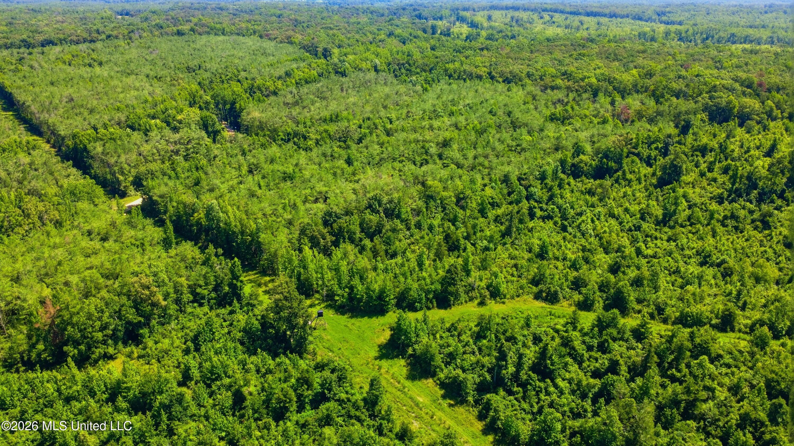 159 County Road Coila, MS 38923 - Photo 11 of 14 CR_159-160_Coila_Drone_019