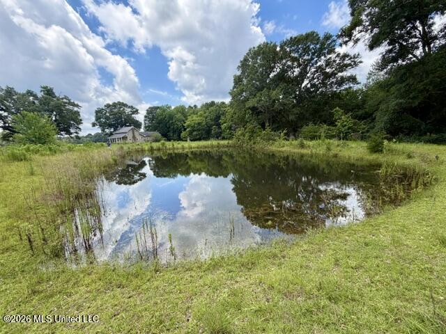 18 Easley Fortenberry Road Tylertown, MS 39667 - Photo 2 of 35 IMG_0596