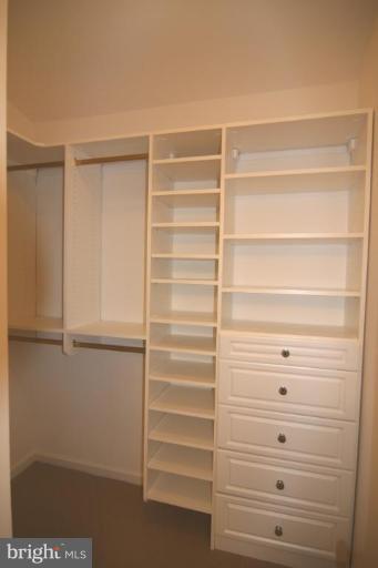 926 Rolfe Place Alexandria, VA 22314 - Photo 10 of 22 Other #2