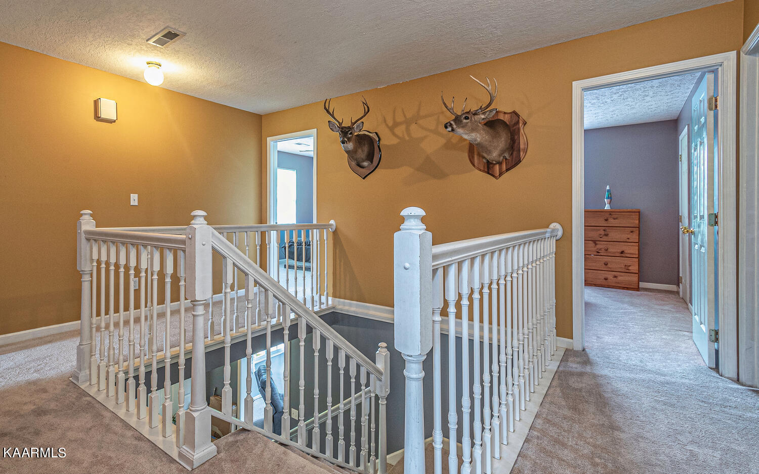 1650 Riggs Chapel Road Harriman, TN 37748 - Photo 18 of 37 1650 Riggs Chapel Rd Harriman-large-038-