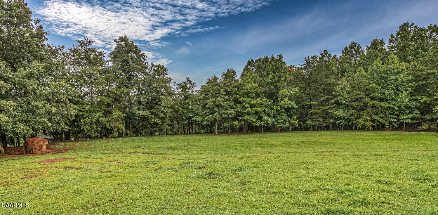 1650 Riggs Chapel Road Harriman, TN 37748 - Photo 31 of 37 1650 Riggs Chapel Rd Harriman-large-005-