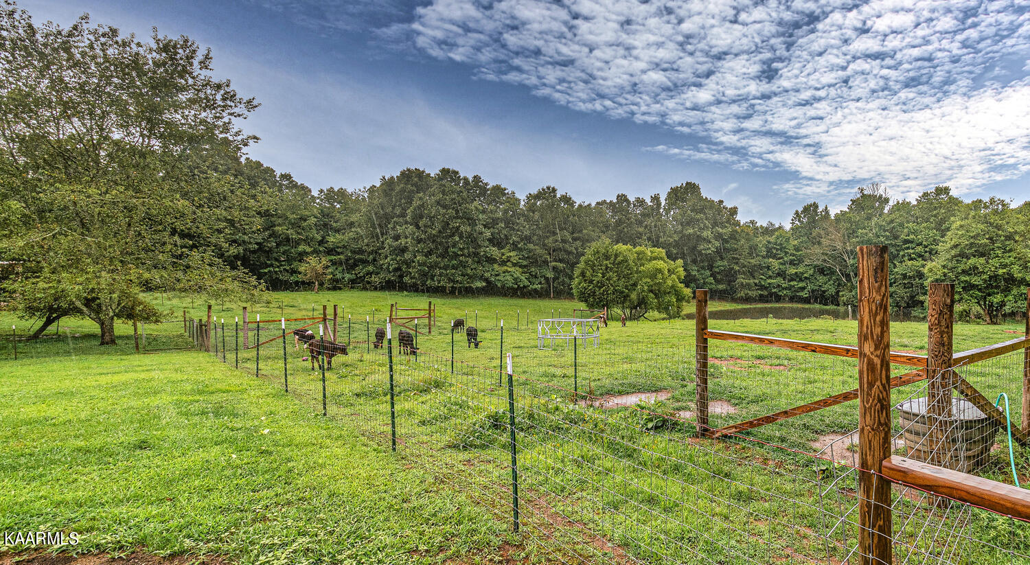 1650 Riggs Chapel Road Harriman, TN 37748 - Photo 32 of 37 1650 Riggs Chapel Rd Harriman-large-007-