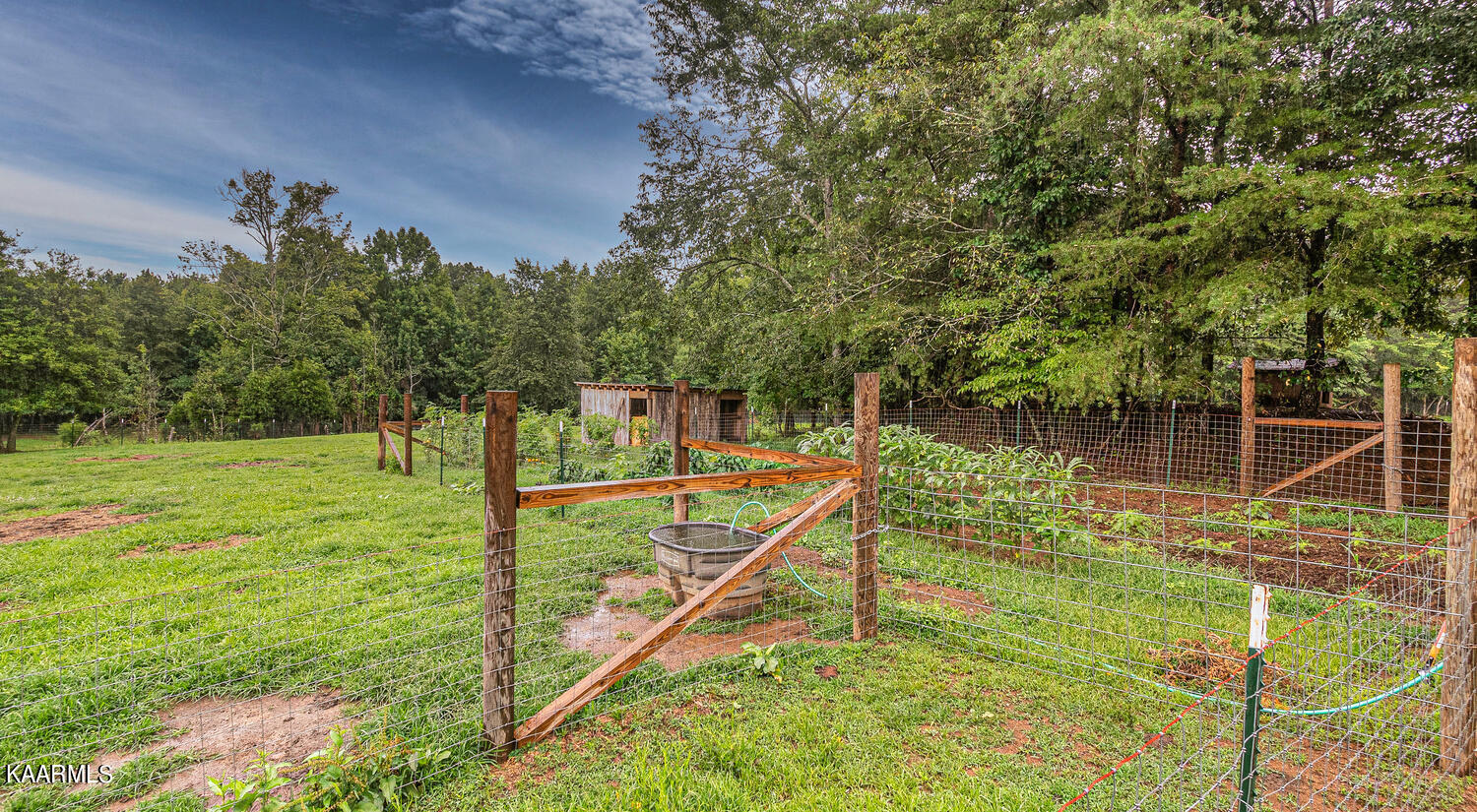 1650 Riggs Chapel Road Harriman, TN 37748 - Photo 33 of 37 1650 Riggs Chapel Rd Harriman-large-008-
