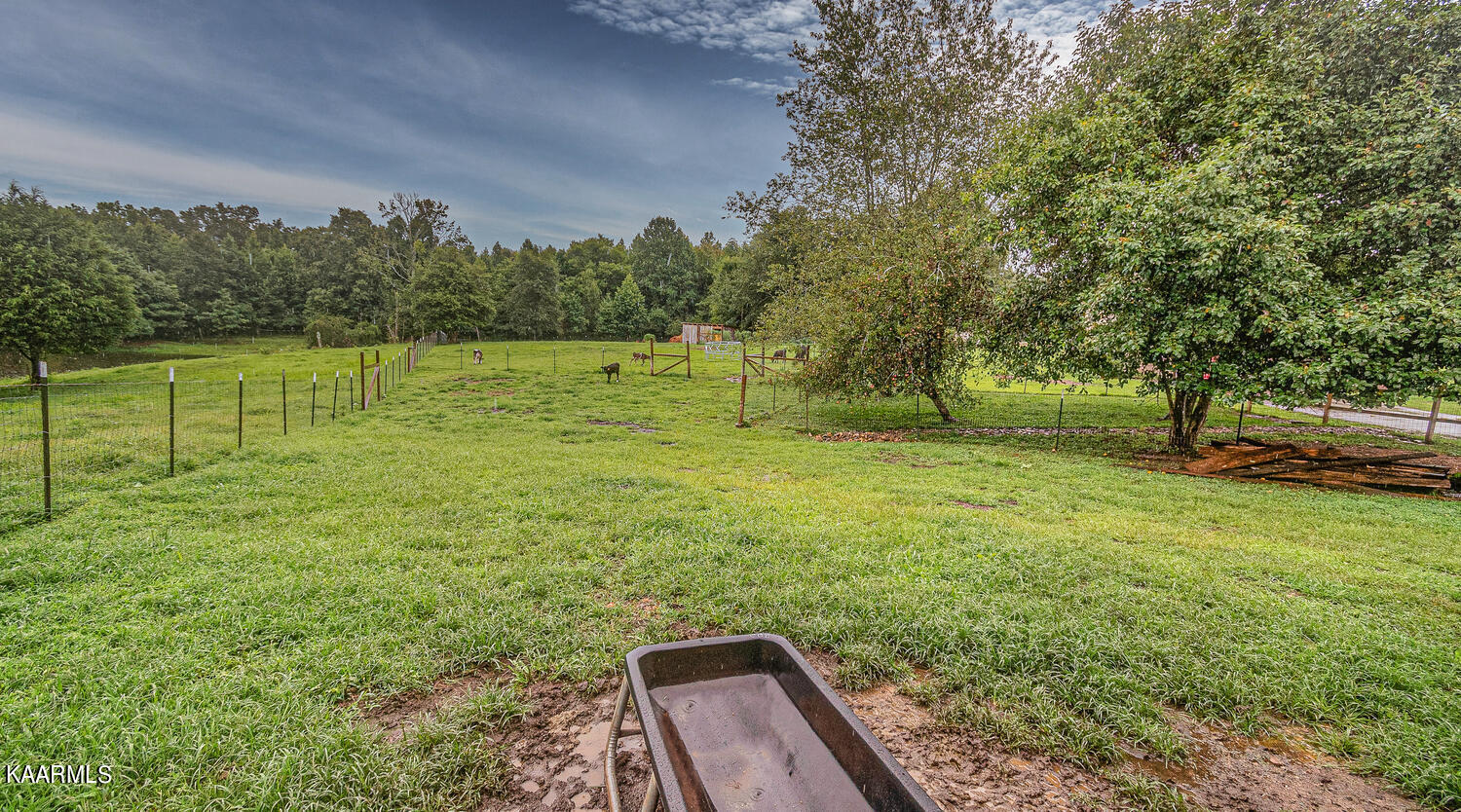 1650 Riggs Chapel Road Harriman, TN 37748 - Photo 34 of 37 1650 Riggs Chapel Rd Harriman-large-011-
