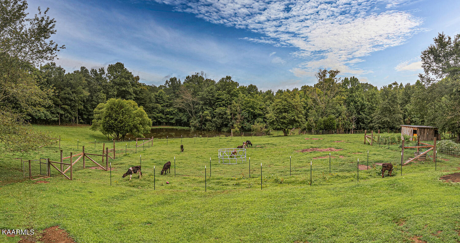 1650 Riggs Chapel Road Harriman, TN 37748 - Photo 35 of 37 1650 Riggs Chapel Rd Harriman-large-018-