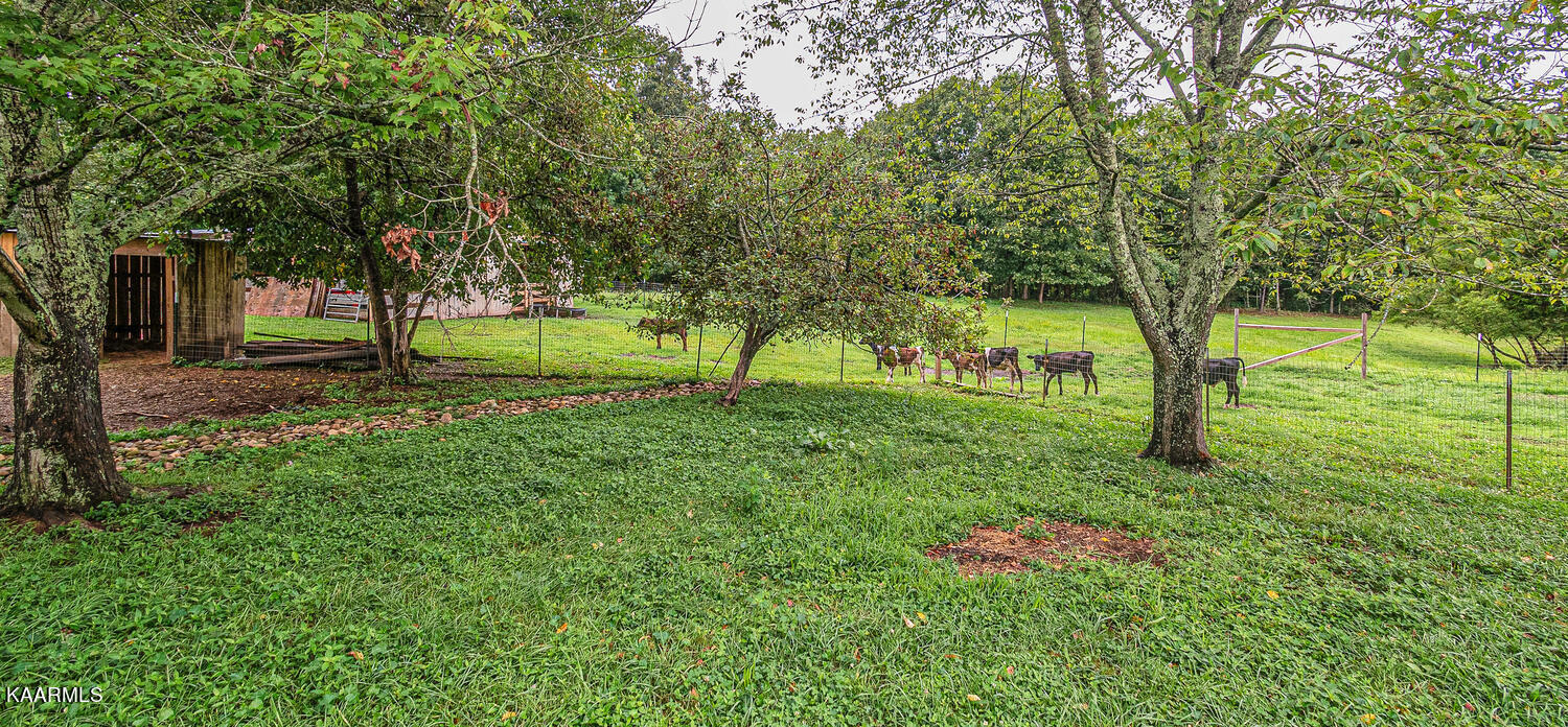 1650 Riggs Chapel Road Harriman, TN 37748 - Photo 37 of 37 1650 Riggs Chapel Rd Harriman-large-031-