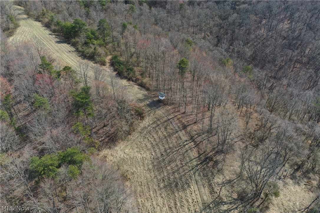 1 Sarvis Fork Road Sandyville, WV 25275 - Photo 17 of 44 Gallery Image 17